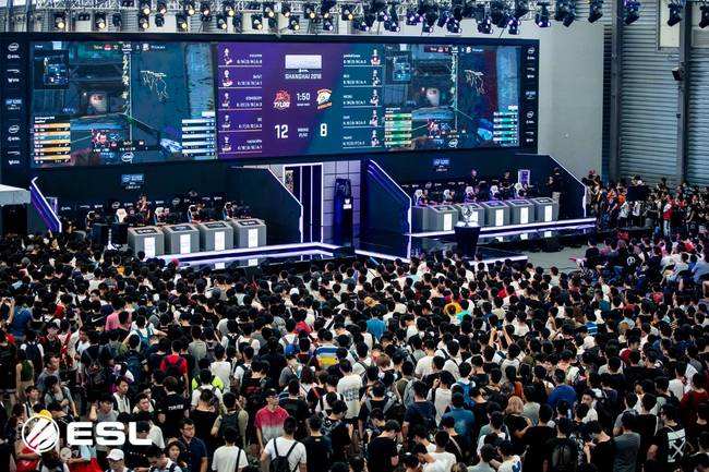 它不仅为各 它不仅为各