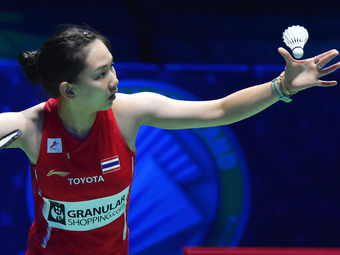 蓝狐冠军的 蓝狐冠军的